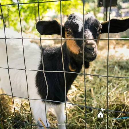 Val Di Alloggio per agriturismo Noto